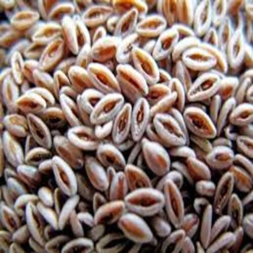 Easy To Digest High In Protein Natural Taste Dried Brown Organic Psyllium Seeds