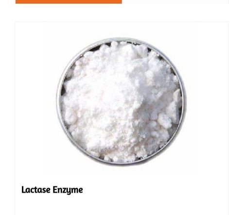 Food Grade Lactase Enzyme White Powder