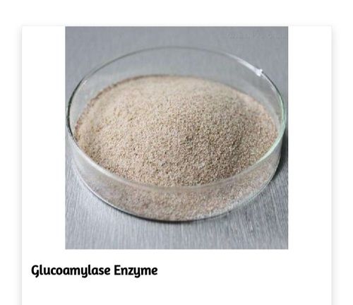 Glucoamylase Enzyme Light Brown Powder