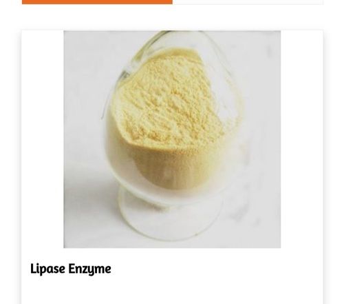 White and Yellow Powder High Temperature and High Humidity Lipase Enzyme
