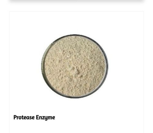 Protease Enzyme Yellow Brown Powder Cool & Dry Place