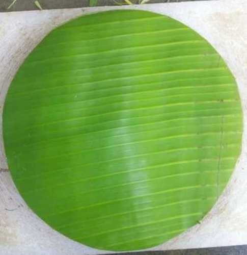 Round Green Fresh Banana Leaf