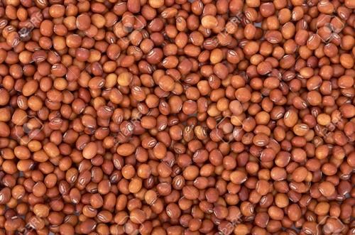 Sun Dried Indian Origin Pigeon Peas With High Nutrient Value