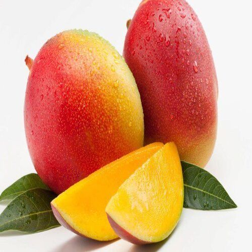 Delicious Sweet Natural Taste Healthy Yellow Fresh Mango with Pack Size 10kg