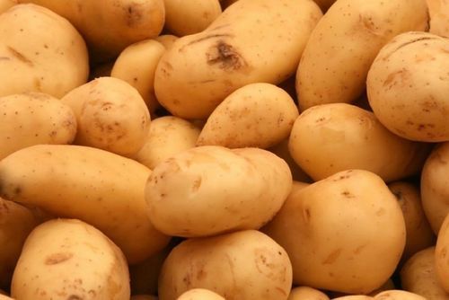 Iron 4% Vitamin B-6 15% Magnesium 5% Calcium 1% Natural Taste Healthy Brown Fresh Potato with Pack Size 20kg
