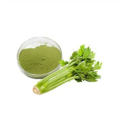 Frozen Natural Rich Taste Healthy Green Freeze Dried Celery Powder With Pack Size 5Kg Or 10Kg