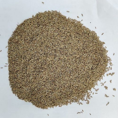 Grebes Spices Sun Dried Cumin Seeds 1kg, 25kg, 30kg, 50kg For Cooking