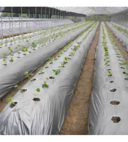 Grey Plastic Mulching Films For Agricultural Farms