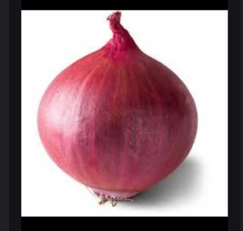 High Protein Fresh Red Onion, Packaging Size 20 Kg