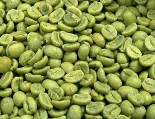 घर और होटल में लूज पैकेजिंग के साथ चेरी ग्रीन कॉफ़ी बीन का उपयोग करें