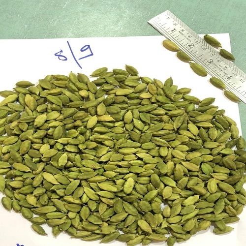 Green Cardamom Background Images, HD Pictures and Wallpaper For Free  Download | Pngtree