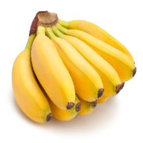 Healthy Nutritious Natural Taste Fresh Organic Yellow Cavendish Banana Size: Standard