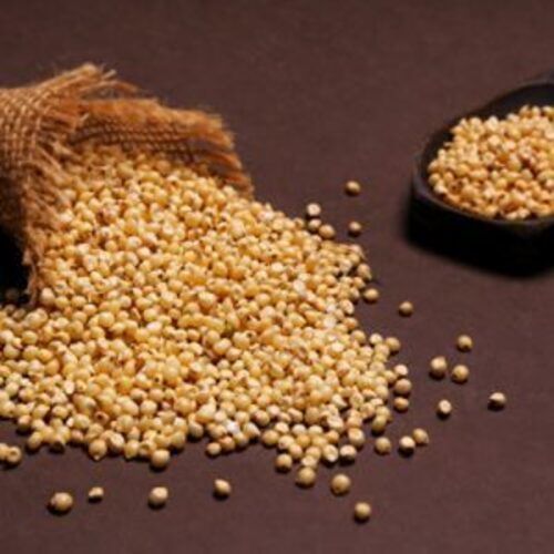 Natural Rich Taste Yellow Healthy Organic Sorghum Seeds Shelf Life: 3 Months