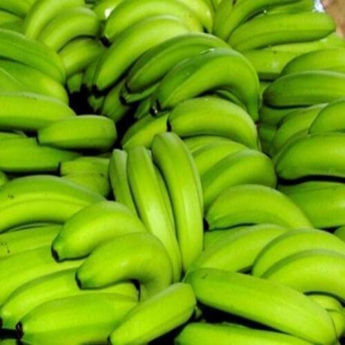 Nutritious Natural Taste Healthy Organic Green Fresh Banana