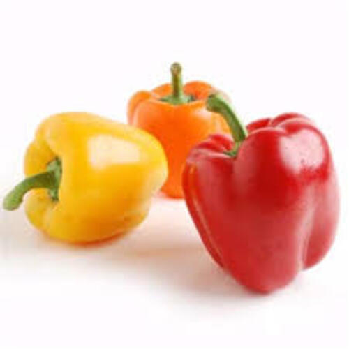 Maturity 100% Rich Natural Taste Healthy Organic Fresh Bell Pepper