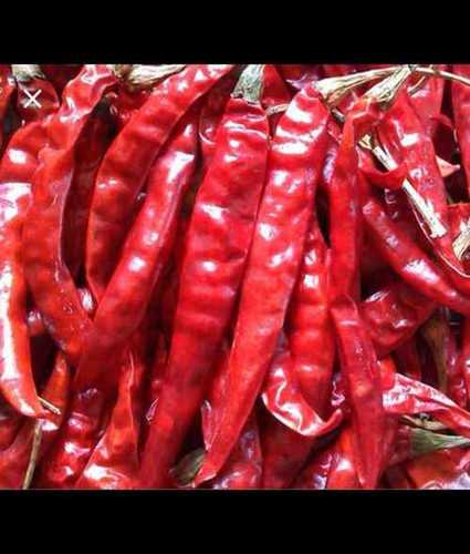 Natural Spicy Dry Red Chilli With Long Shelf Life