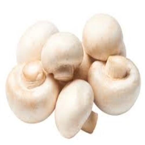 No Artificial Flavour No Preservatives Natural Taste Creamy Fresh Button Mushroom