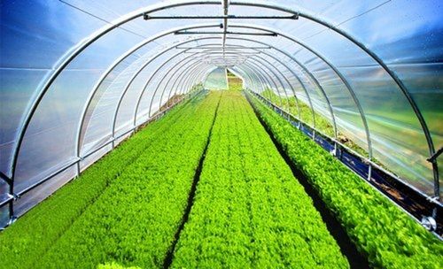 Outdoor 36 Feet Width Agriculture Single Multilayer Greenhouse UV Protected Covering Films