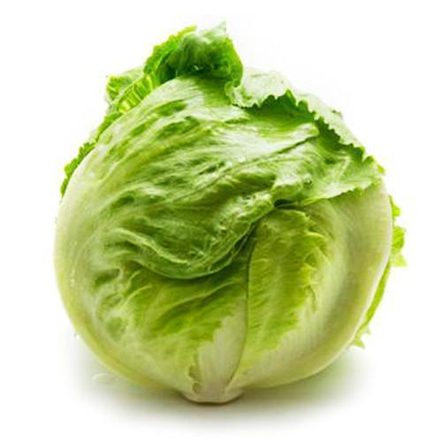 Round & Oval Pesticide Free No Preservatives Natural Taste Green Organic Fresh Lettuce