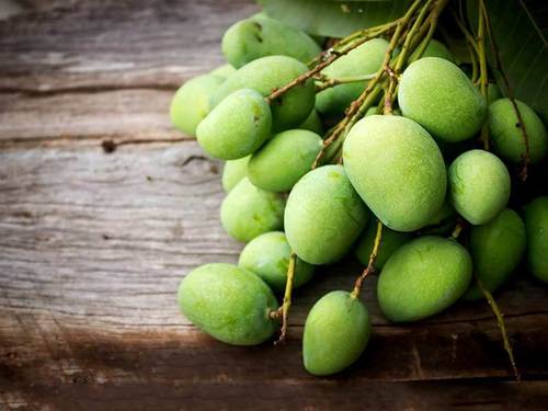 Healthy Rich Natural Taste Organic Fresh Green Mango