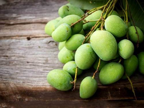 Healthy Rich Natural Taste Organic Fresh Green Mango Origin: India