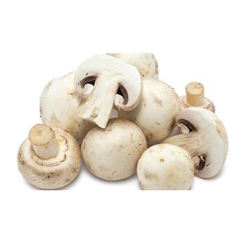 Hygienically Packed No Preservatives Healthy Natural Taste White Fresh Mushroom