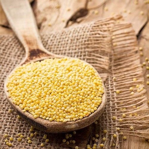 Moisture 12% Good Natural Taste Healthy Organic Dried Millet Seeds
