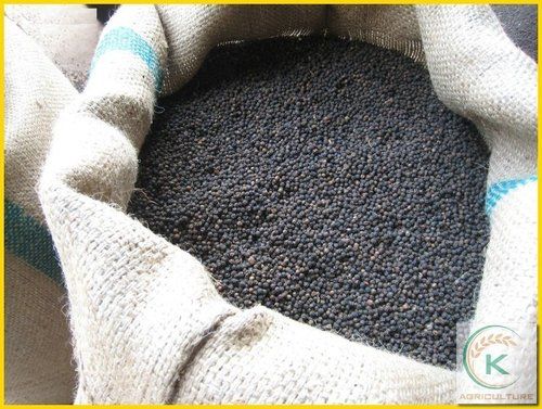 Rich In Taste Black Pepper For Cooking Grade: A