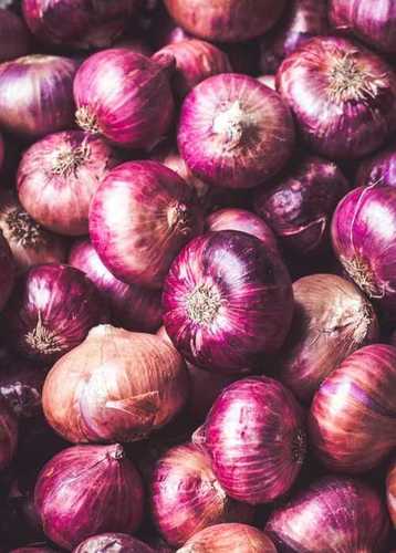 High Protein Pesticide Free Organic Medium Size Red Onion