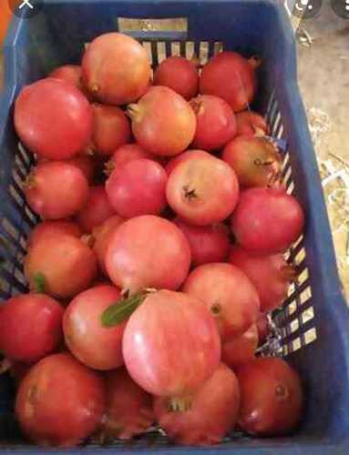 Organic Pesticide Free Full Maturity Fresh Red Pomegranate