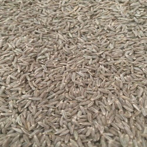 Aromatic Odour Rich In Taste Natural Healthy Brown Cumin Seeds