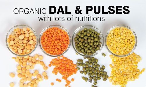 Cooking Usage Organic Pulses With Lots Of Nutritions