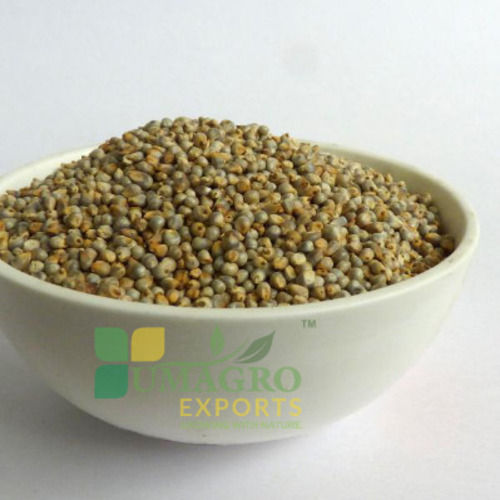 Good Natural Taste Healthy Dried Green Millet Seeds Shelf Life: 1 Years