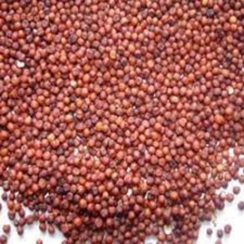 Good Rich Natural Taste Healthy Dried Red Millet Seeds Shelf Life: 1 Years