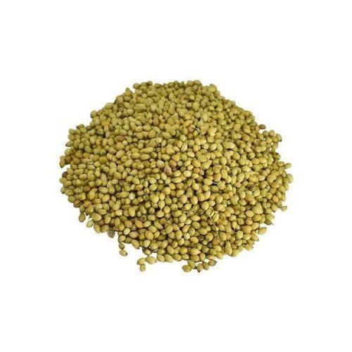 Moisture 4% Pure Natural Rich Taste Healthy Dried Coriander Seeds