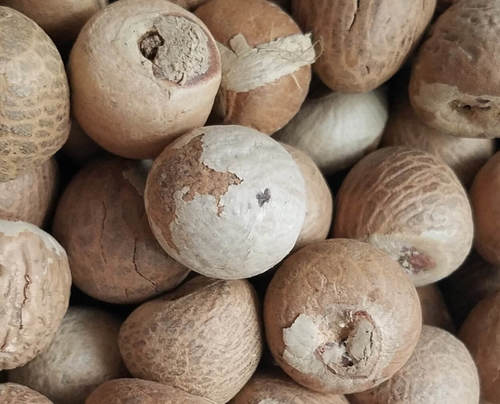 Natural Brown Betel Nut For Food Herbal And Medicine