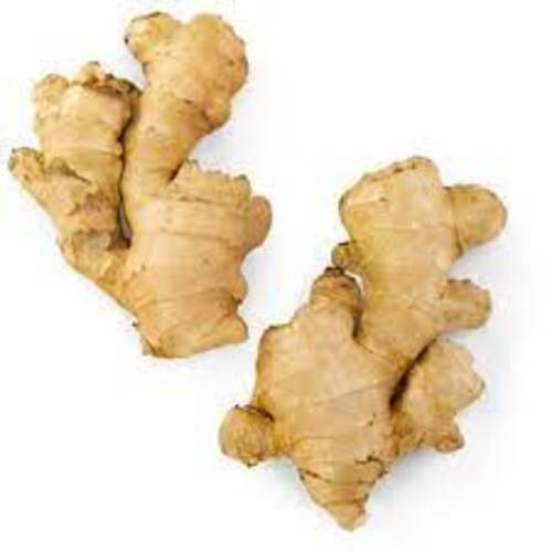 No Preservatives No Artificial Flavour Rich Natural Taste Healthy Brown Fresh Ginger