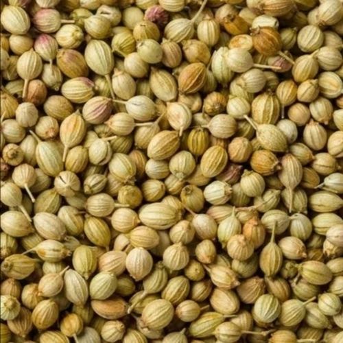 Pure Natural Rich Taste Healthy Brown Dried Coriander Seeds