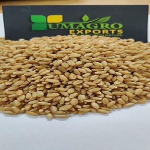 Purity 99% Healthy Natural Taste Dried Brown Wheat Seeds Shelf Life: 1 Years