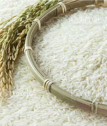 100% Pure High Protein Medium Grain Organic White Rice  Crop Year: Current Years