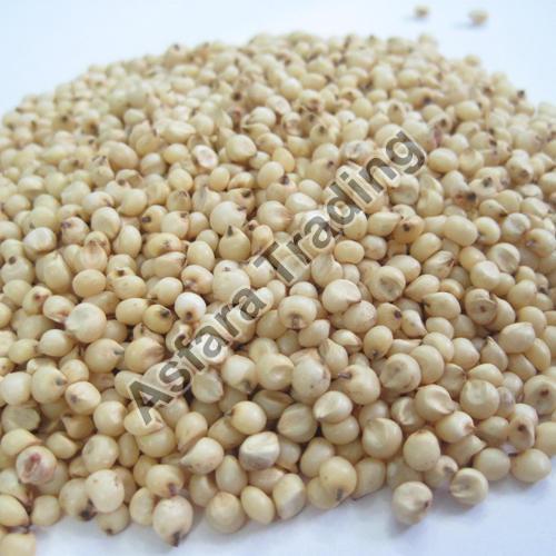 Crude Fibre 2% Rich Natural Taste Healthy Dried Sorghum Seeds