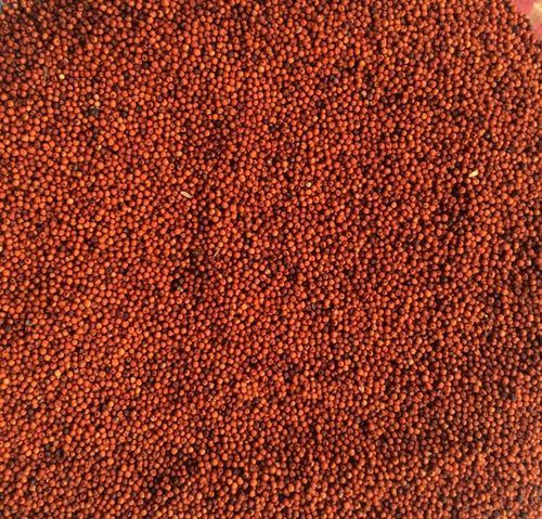 Non Glutinous Natural Taste Healthy Dried Red Millet Seeds