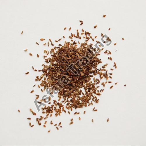 Fssai Certified Natural Taste Brown Healthy Dried Carrot Seeds Shelf Life: 1 Years