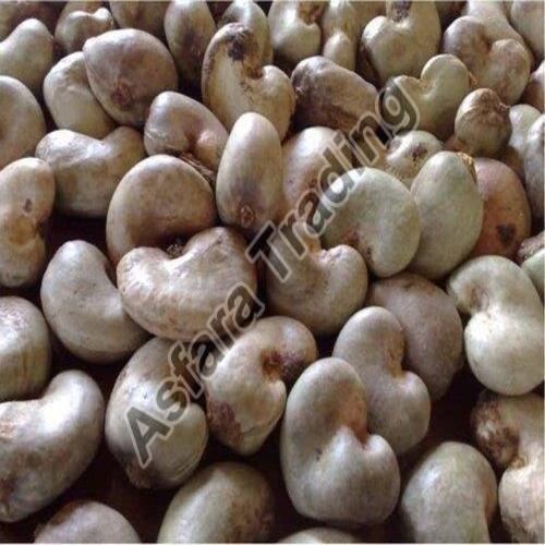 Light Cream Fssai Certified Rich Natural Taste Healthy Organic Raw Cashew Nuts