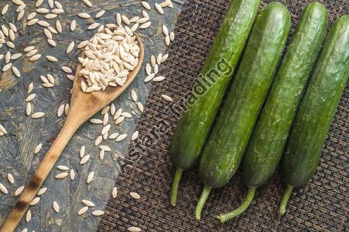 Hybrid FSSAI Certified Brown Healthy Organic Cucumber Seeds