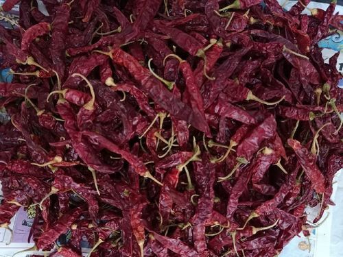 Natural Taste Rich Color Organic Devanur Deluxe Dry Red Chilli