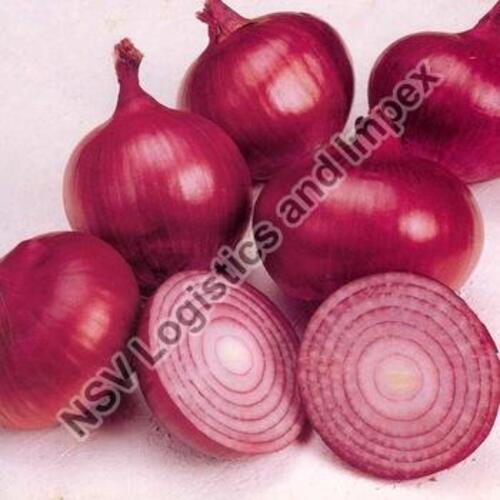 100% Pure and Natural Fresh Red Onions for Cooking and Salads