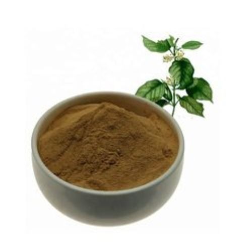 Brown Organic Gudmar Powder (Gymnema sylvestre) (Asclepiadaceae)