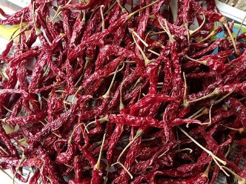 Spicy Natural Taste Rich Color Organic 5531 Dry Red Chilli