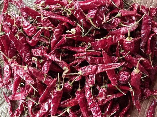 Spicy Taste Rich Color Hygienic Packing Organic Indo 5 Dry Red Chilli